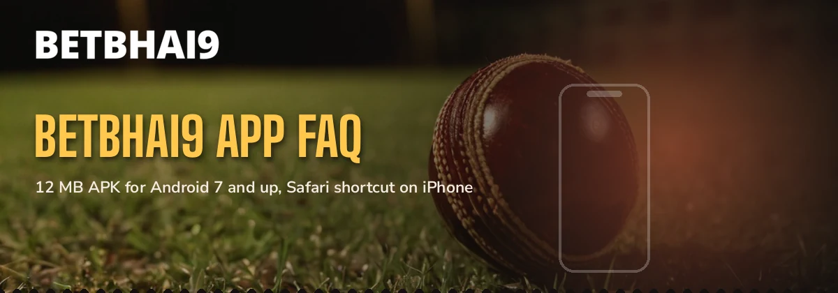 Cricket ball in flight over a floodlit pitch under the Betbhai9 app FAQ label