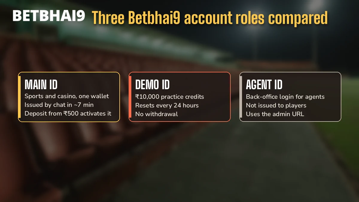 Three account cards comparing the Main, Demo and Agent account roles